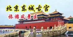 贵妇极品小穴中国北京-东城古宫旅游风景区